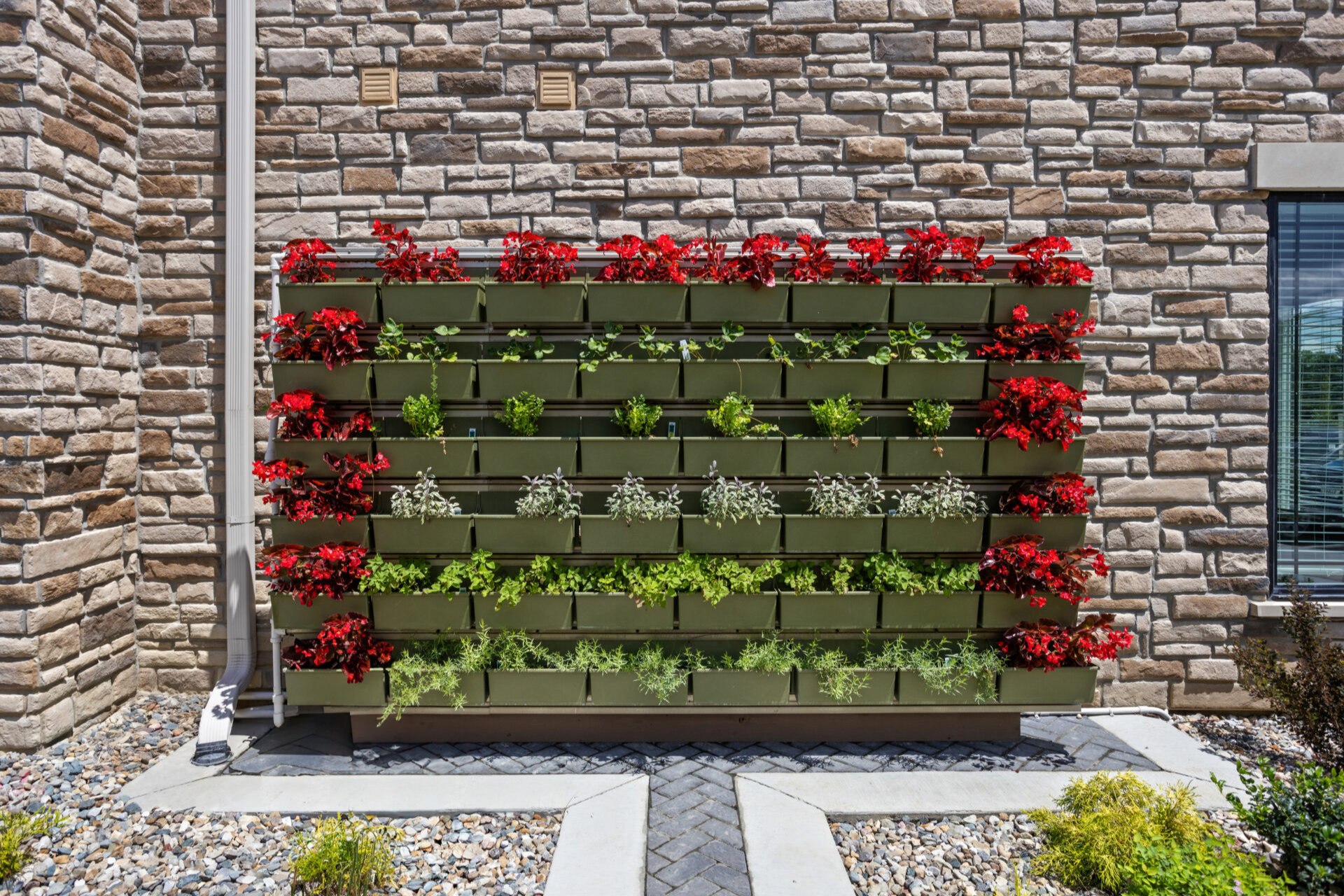 The Steadman Herb Wall